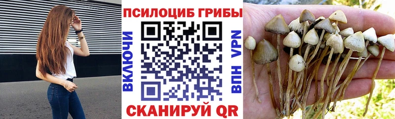 Псилоцибиновые грибы Magic Shrooms  Зуевка 